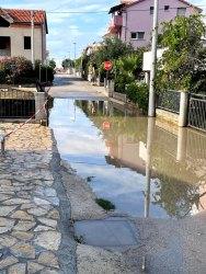 Photo of this report