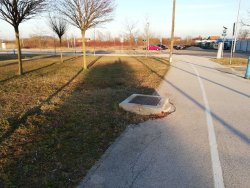 Photo of this report