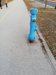 Photo of this report