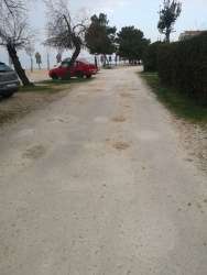 Photo of this report