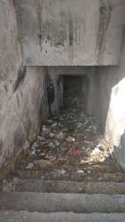 Photo of this report