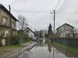 Photo of this report