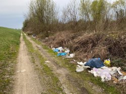 Photo of this report