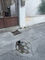 Photo of this report