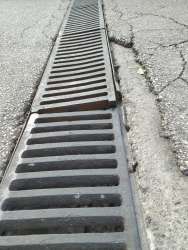 Photo of this report