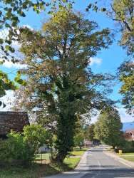 Photo of this report