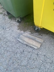 Photo of this report