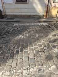 Photo of this report