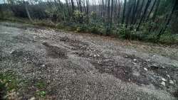 Photo of this report