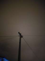 Photo of this report