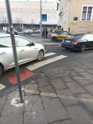 Photo of this report