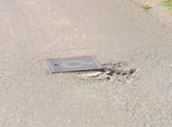 Photo of this report