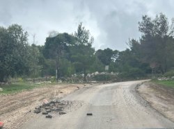 Photo of this report