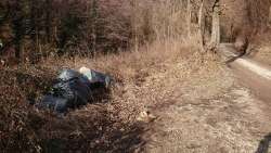 Photo of this report