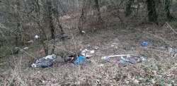 Photo of this report