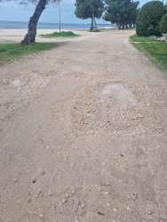 Photo of this report