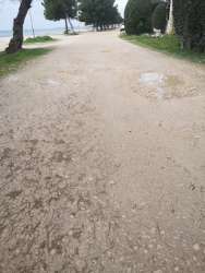 Photo of this report