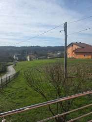 Photo of this report